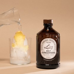 Sirop Brut de Gingembre Bio