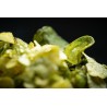 NEW - Chips Algues 125g - Superbon