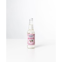 Sologn'Soda / Martin Pouret Framboise