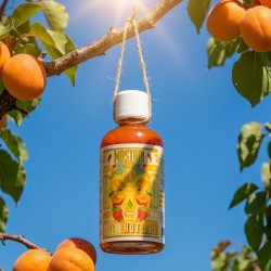 NOUVEAU Sauce piquante BOLERO / BOLERO Hot sauce 🌶️