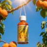 NOUVEAU Sauce piquante BOLERO / BOLERO Hot sauce 🌶️