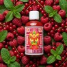 Sauce piquante ALEGRIA / ALEGRIA Hot sauce 🌶️