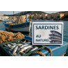 CONSERVE DE POISSON COLLECTOR - Sardines au naturel - 1/6