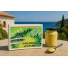 CONSERVE DE POISSON COLLECTOR - maquereaux moutarde*