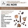 Coffret 1 crayon - Ail noir