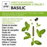 Coffret 1 crayon - Basilic - Biologique