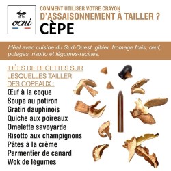 Coffret 1 crayon - Cèpe