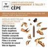 Coffret 1 crayon - Cèpe