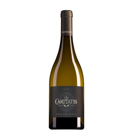 VIA CARITATIS LUX IN ALTIS Ventoux Blanc 2023