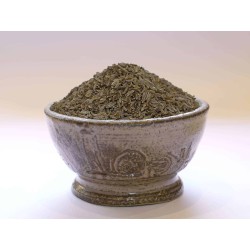 Carvi Bio Cumin des prés