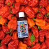 Sauce piquante TANGO / TANGO Hot sauce 🌶️
