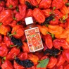 Sauce piquante TWIST / TWIST Hot sauce 🌶️