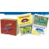 CONSERVES DE POISSON COLLECTOR Coffret à offrir "PLEIN SUD"