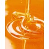 Miel d'orange bio 250g