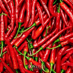 Pâté au piment bio 190g