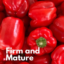 SAUCE TOMATE CERISE AUX POIVRONS BIO 330G