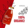 SAUCE TOMATE SICILIENNE READY BIO 250G