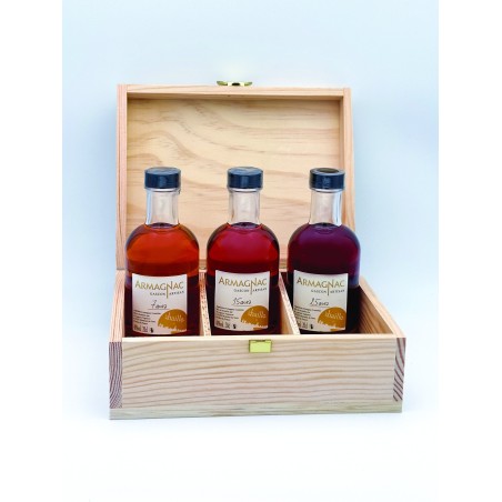 Coffret Découverte d'Armagnacs - assemblages de 7 ans, 15 ans et 25 ans - 3 x 20 cl - 40 %vol