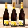 CHR - L'Éclat Brut BIO 75cl (x6)- the sparkling alcohol-free aperitif with fruity and vegetal notes, very little sugar!