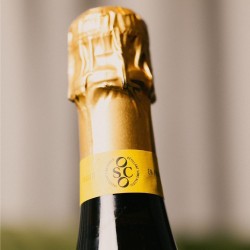 CHR - L'Éclat Brut BIO 75cl (x6)- the sparkling alcohol-free aperitif with fruity and vegetal notes, very little sugar!