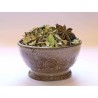 Chai Masala Bio